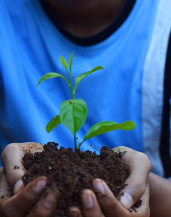 Invitation to go green and planting for a better environment